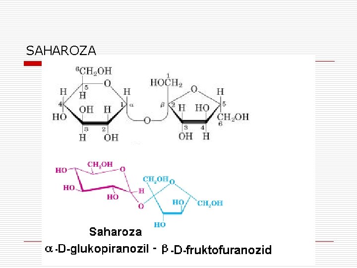 SAHAROZA 