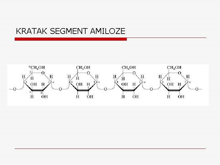 KRATAK SEGMENT AMILOZE 