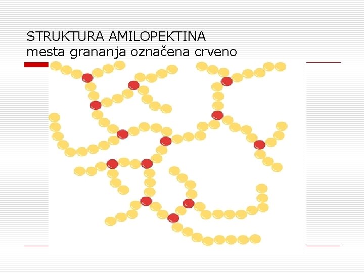 STRUKTURA AMILOPEKTINA mesta grananja označena crveno 