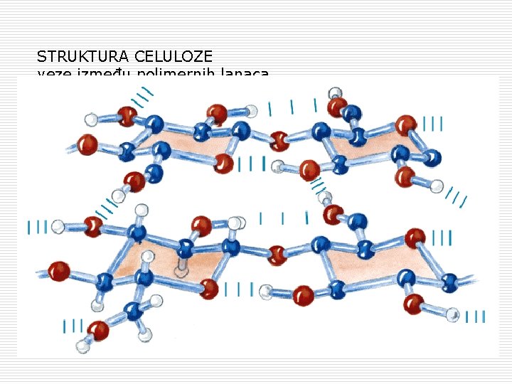 STRUKTURA CELULOZE veze između polimernih lanaca 