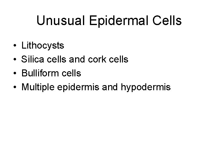 Unusual Epidermal Cells • • Lithocysts Silica cells and cork cells Bulliform cells Multiple