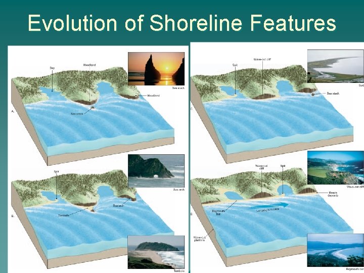 Evolution of Shoreline Features 