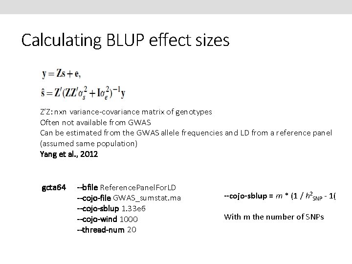 Calculating BLUP effect sizes Z’Z: nxn variance-covariance matrix of genotypes Often not available from