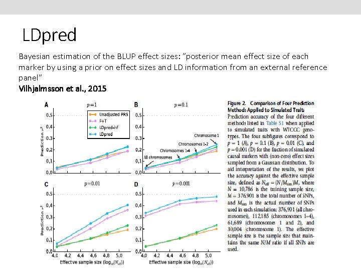 LDpred Bayesian estimation of the BLUP effect sizes: “posterior mean effect size of each