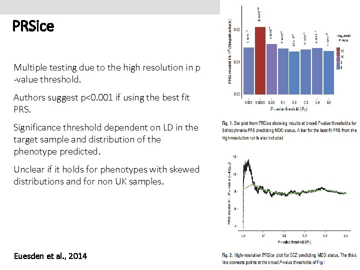 PRSice Multiple testing due to the high resolution in p -value threshold. Authors suggest