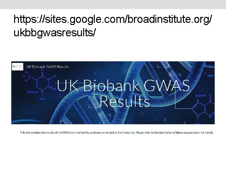 https: //sites. google. com/broadinstitute. org/ ukbbgwasresults/ 