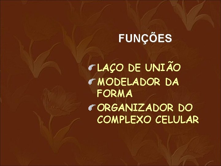 FUNÇÕES LAÇO DE UNIÃO MODELADOR DA FORMA ORGANIZADOR DO COMPLEXO CELULAR 