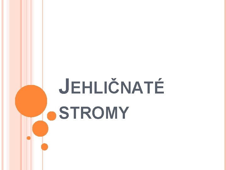 JEHLIČNATÉ STROMY 