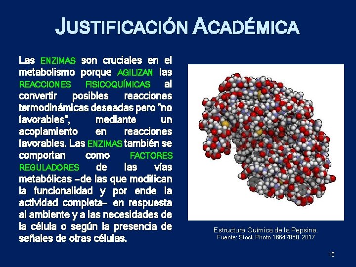 JUSTIFICACIÓN ACADÉMICA Las ENZIMAS son cruciales en el metabolismo porque AGILIZAN las REACCIONES FISICOQUÍMICAS