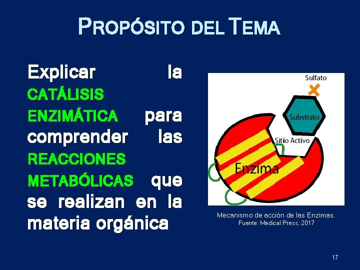 PROPÓSITO DEL TEMA Explicar CATÁLISIS la ENZIMÁTICA para comprender las REACCIONES METABÓLICAS que se