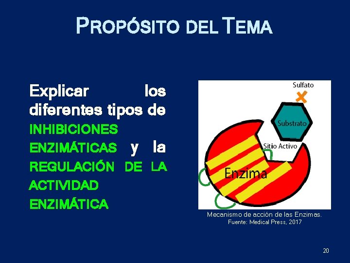 PROPÓSITO DEL TEMA Explicar los diferentes tipos de INHIBICIONES ENZIMÁTICAS y la REGULACIÓN DE