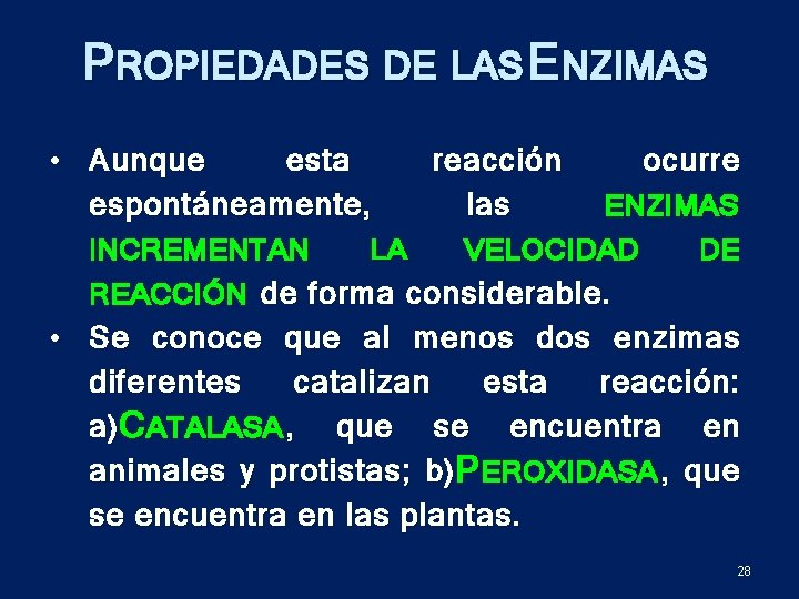 PROPIEDADES DE LAS ENZIMAS • Aunque esta espontáneamente, INCREMENTAN LA reacción las ocurre ENZIMAS