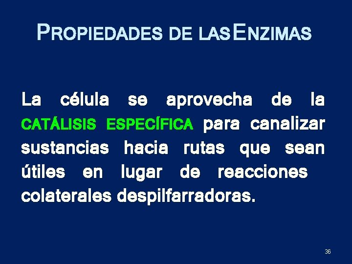 PROPIEDADES DE LAS ENZIMAS La célula se aprovecha de la CATÁLISIS ESPECÍFICA para canalizar