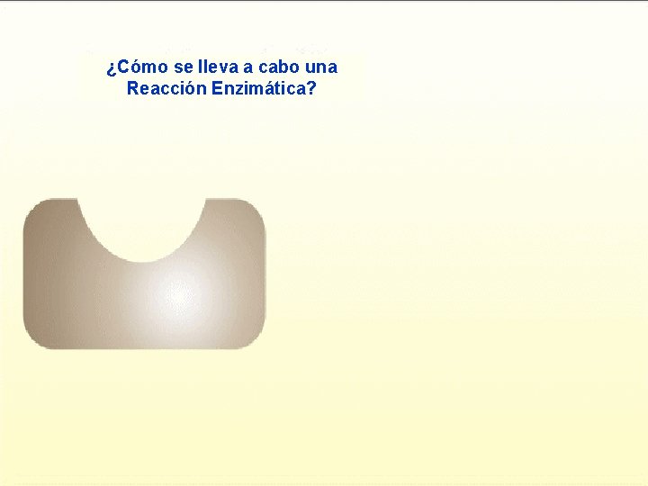 ¿Cómo se lleva a cabo una Reacción Enzimática? https: //goo. gl/images/Mw 5 pfu 