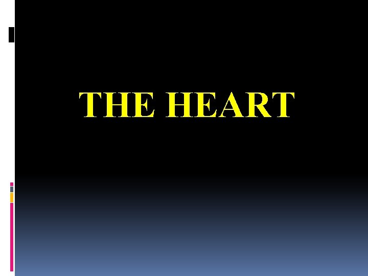 THE HEART 