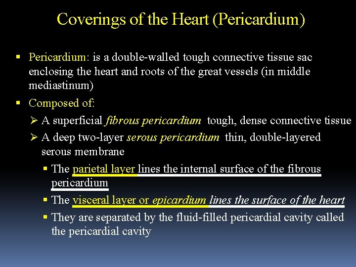 Coverings of the Heart (Pericardium) Pericardium: is a double-walled tough connective tissue sac enclosing