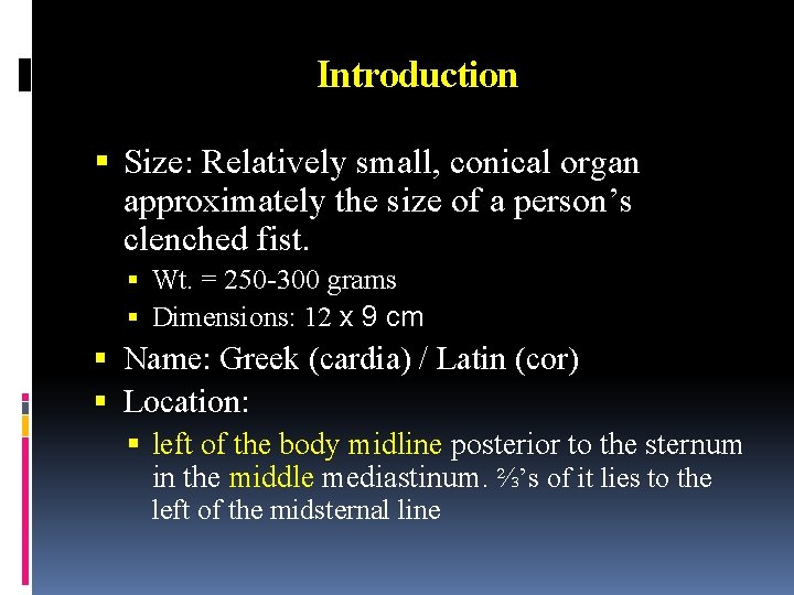 Introduction Size: Relatively small, conical organ approximately the size of a person’s clenched fist.