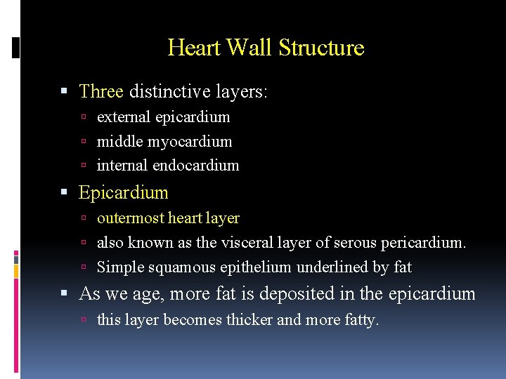 Heart Wall Structure Three distinctive layers: external epicardium middle myocardium internal endocardium Epicardium outermost