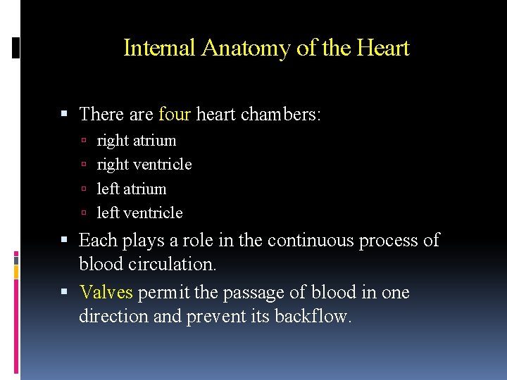 Internal Anatomy of the Heart There are four heart chambers: right atrium right ventricle