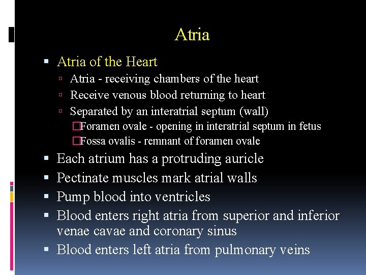 Atria of the Heart Atria - receiving chambers of the heart Receive venous blood