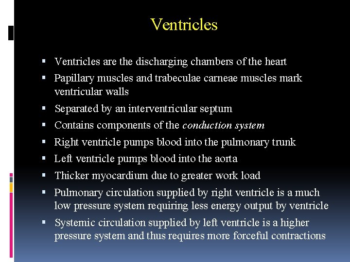 Ventricles are the discharging chambers of the heart Papillary muscles and trabeculae carneae muscles