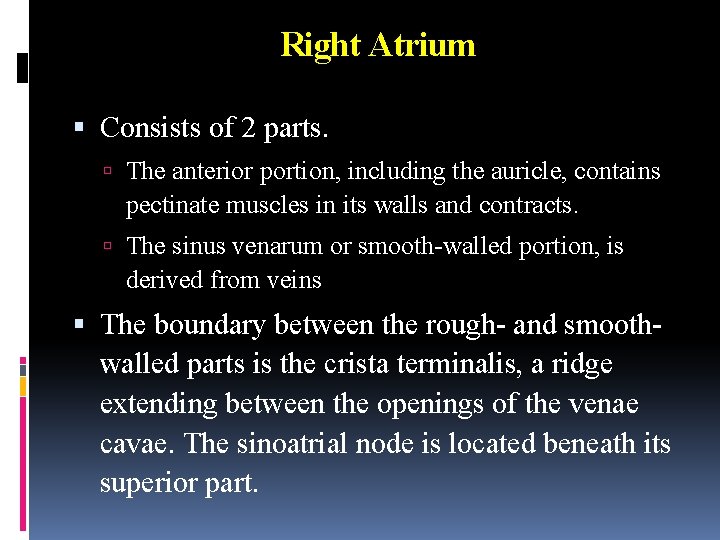 Right Atrium Consists of 2 parts. The anterior portion, including the auricle, contains pectinate