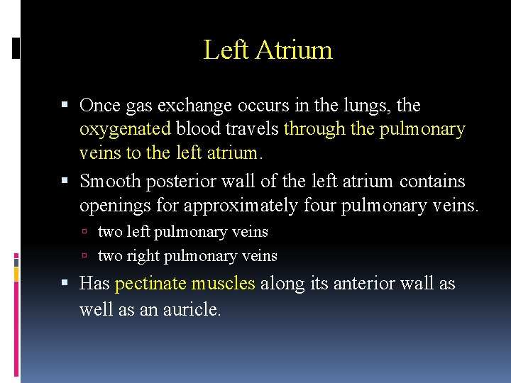 Left Atrium Once gas exchange occurs in the lungs, the oxygenated blood travels through