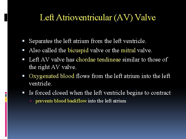 Left Atrioventricular (AV) Valve Separates the left atrium from the left ventricle. Also called