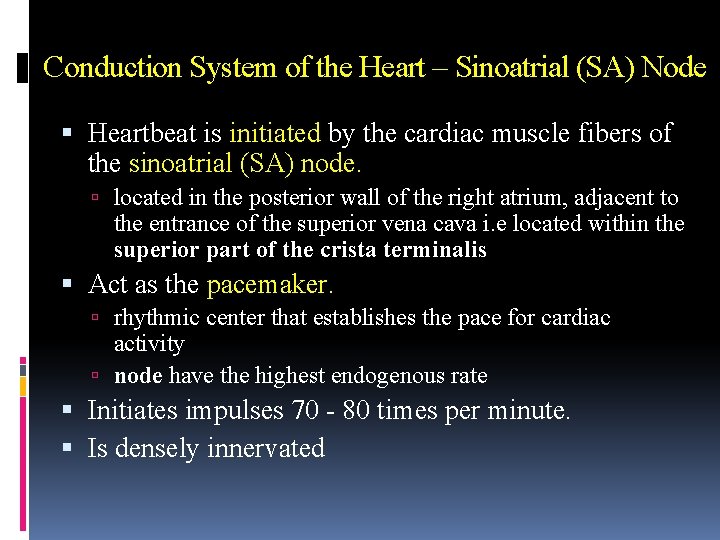 Conduction System of the Heart – Sinoatrial (SA) Node Heartbeat is initiated by the