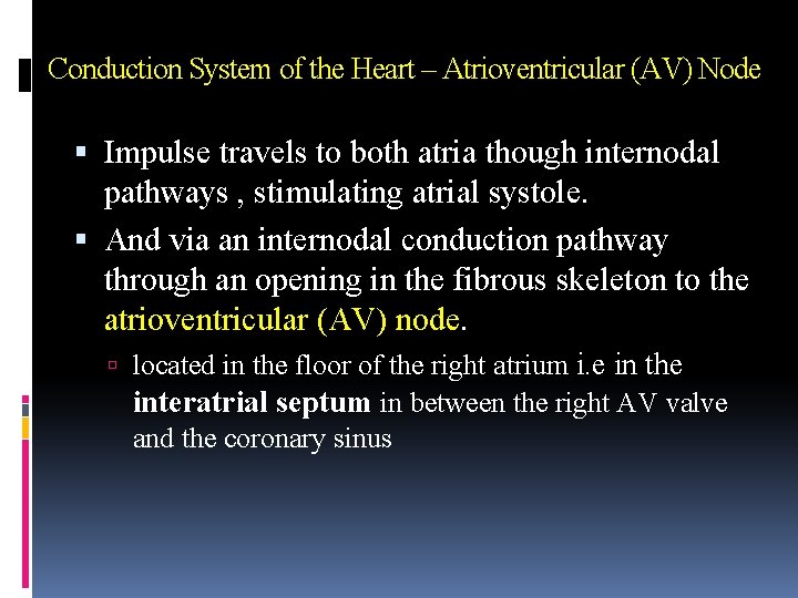 Conduction System of the Heart – Atrioventricular (AV) Node Impulse travels to both atria