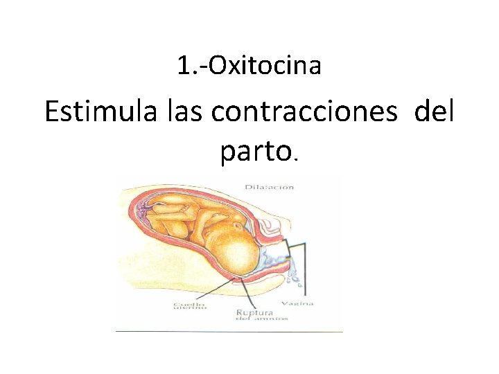 1. -Oxitocina Estimula las contracciones del parto. 