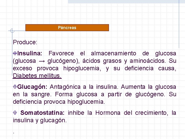 Páncreas Produce: Insulina: Favorece el almacenamiento de glucosa (glucosa → glucógeno), ácidos grasos y