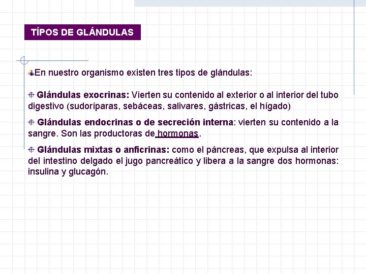 TÍPOS DE GLÁNDULAS En nuestro organismo existen tres tipos de glándulas: Glándulas exocrinas: Vierten