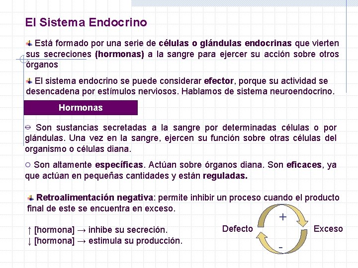 El Sistema Endocrino Está formado por una serie de células o glándulas endocrinas que