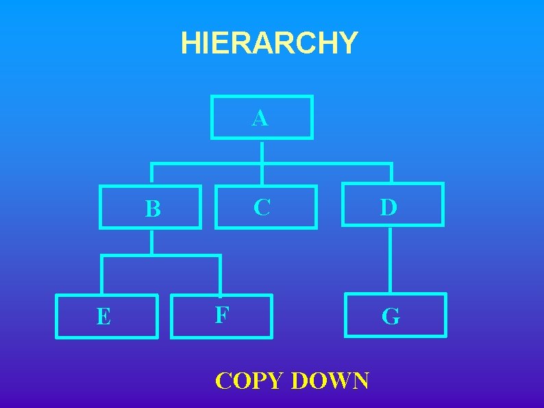 HIERARCHY A C B E F COPY DOWN D G 
