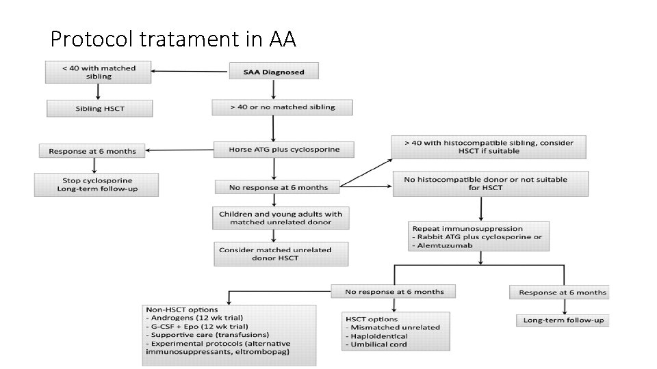 Protocol tratament in AA 