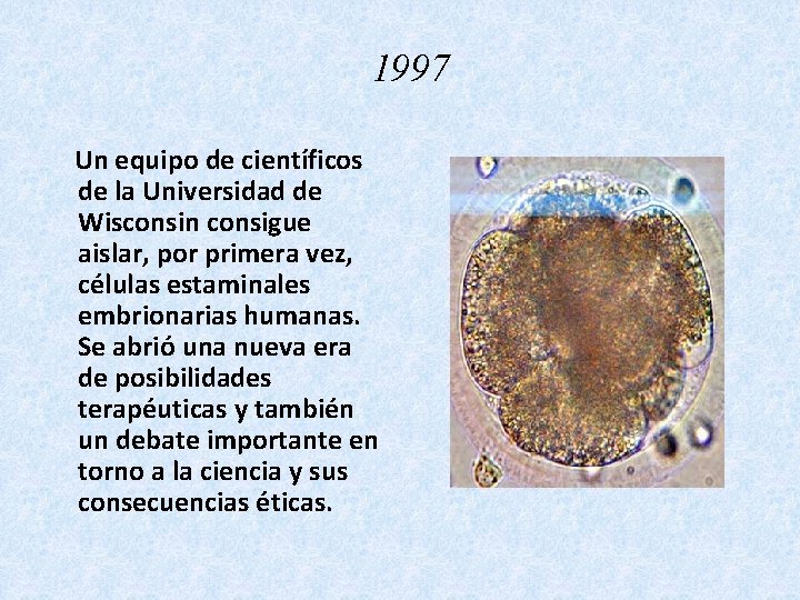 1997 Un equipo de científicos de la Universidad de Wisconsin consigue aislar, por primera