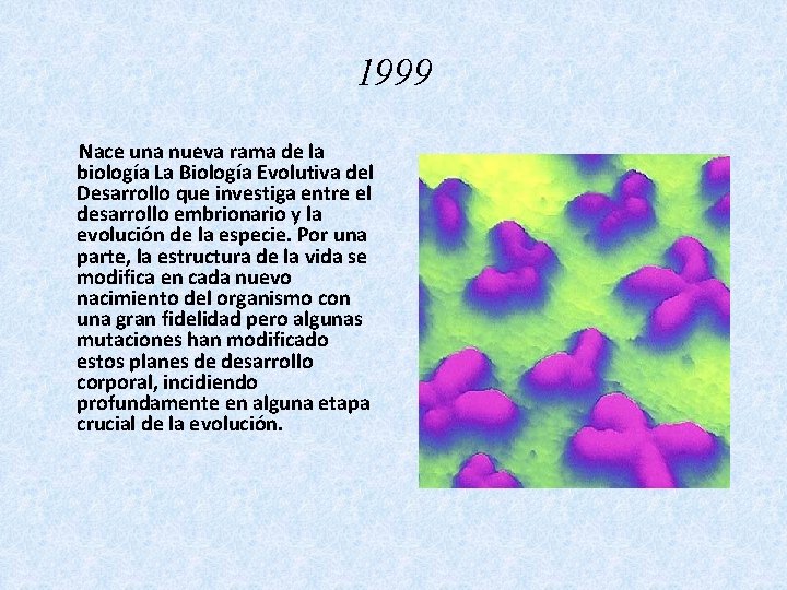 1999 Nace una nueva rama de la biología La Biología Evolutiva del Desarrollo que
