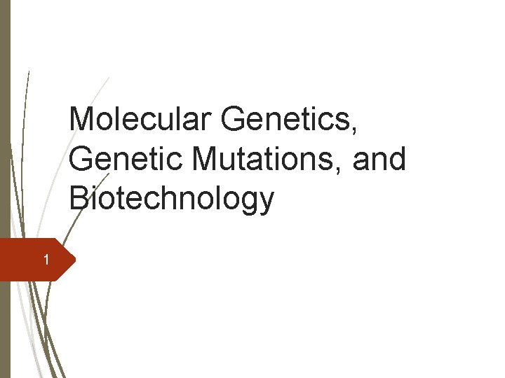 Molecular Genetics, Genetic Mutations, and Biotechnology 1 