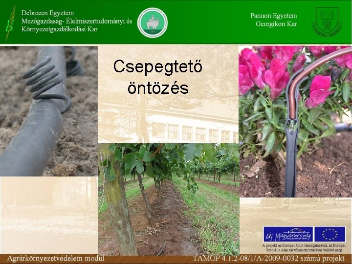 Csepegtető öntözés Csepegtető öntözés