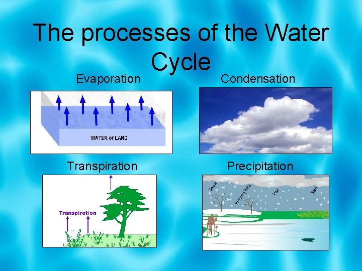 The processes of the Water Cycle Evaporation Condensation Transpiration Precipitation 