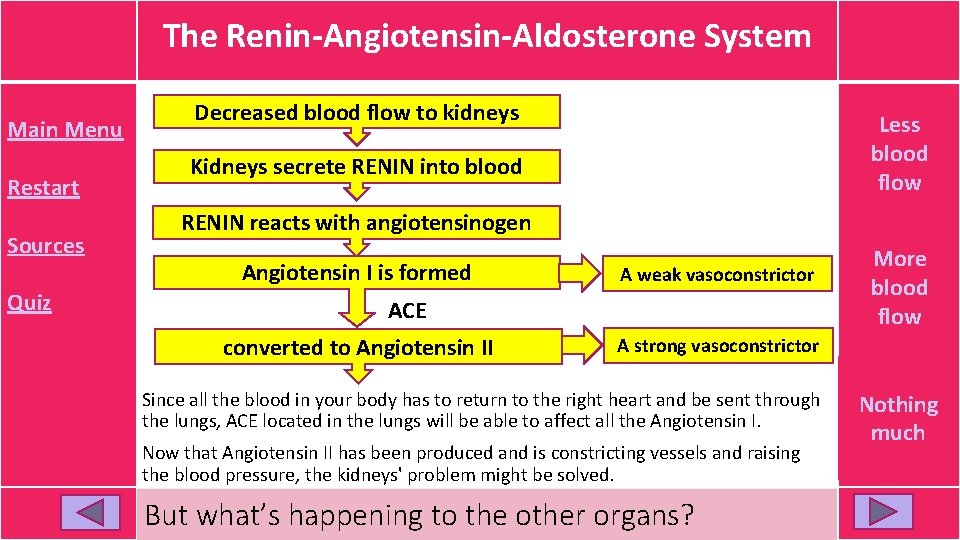 The Renin-Angiotensin-Aldosterone System Main Menu Restart Sources Quiz Right! there still Less isn’t enough The Renin-Angiotensin-Aldosterone System Main Menu Restart Sources Quiz Right! there still Less isn’t enough