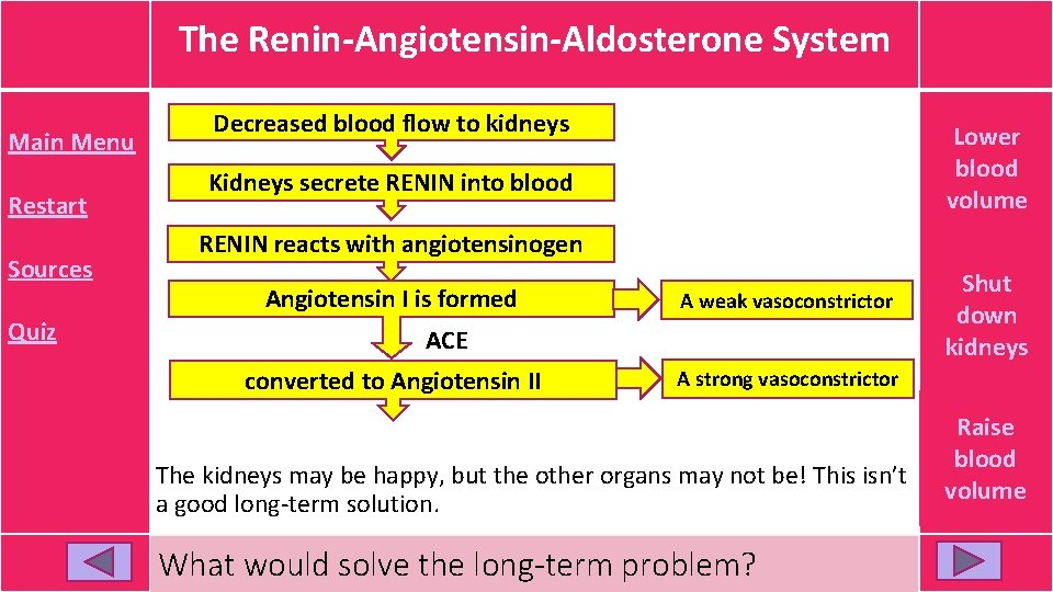 The Renin-Angiotensin-Aldosterone System Main Menu Restart Sources Quiz It’s already too low. Lower – The Renin-Angiotensin-Aldosterone System Main Menu Restart Sources Quiz It’s already too low. Lower –