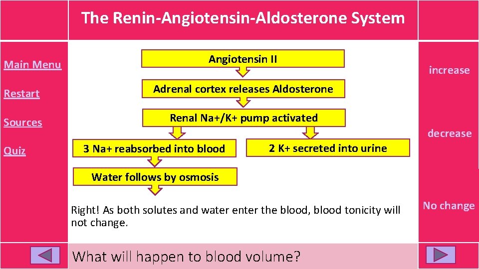 The Renin-Angiotensin-Aldosterone System Main Menu Angiotensin II Restart Adrenal cortex releases Aldosterone Sources Renal The Renin-Angiotensin-Aldosterone System Main Menu Angiotensin II Restart Adrenal cortex releases Aldosterone Sources Renal