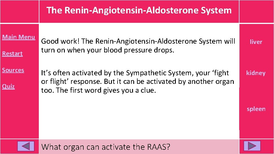 The Renin-Angiotensin-Aldosterone System Main Menu Restart Sources Quiz Good work! The Renin-Angiotensin-Aldosterone System will The Renin-Angiotensin-Aldosterone System Main Menu Restart Sources Quiz Good work! The Renin-Angiotensin-Aldosterone System will