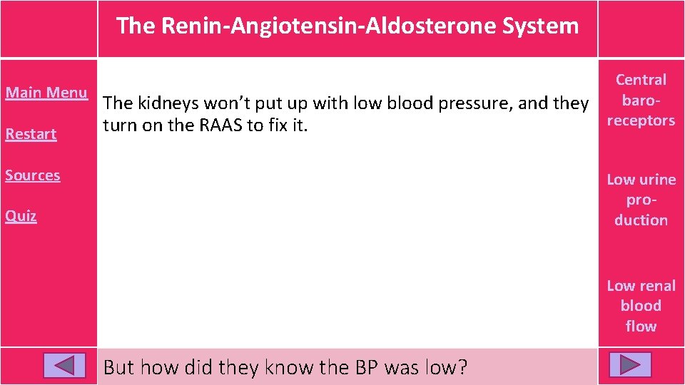 The Renin-Angiotensin-Aldosterone System Main Menu Restart The kidneys won’t put up with low blood The Renin-Angiotensin-Aldosterone System Main Menu Restart The kidneys won’t put up with low blood