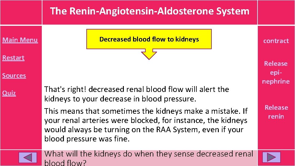 The Renin-Angiotensin-Aldosterone System Main Menu Decreased blood flow to kidneys Restart Sources Quiz That's The Renin-Angiotensin-Aldosterone System Main Menu Decreased blood flow to kidneys Restart Sources Quiz That's