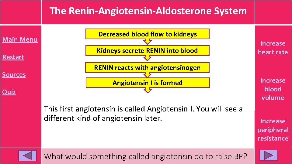 The Renin-Angiotensin-Aldosterone System Main Menu Restart Sources Decreased blood flow to kidneys Kidneys secrete The Renin-Angiotensin-Aldosterone System Main Menu Restart Sources Decreased blood flow to kidneys Kidneys secrete