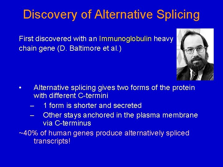 Discovery of Alternative Splicing First discovered with an Immunoglobulin heavy chain gene (D. Baltimore