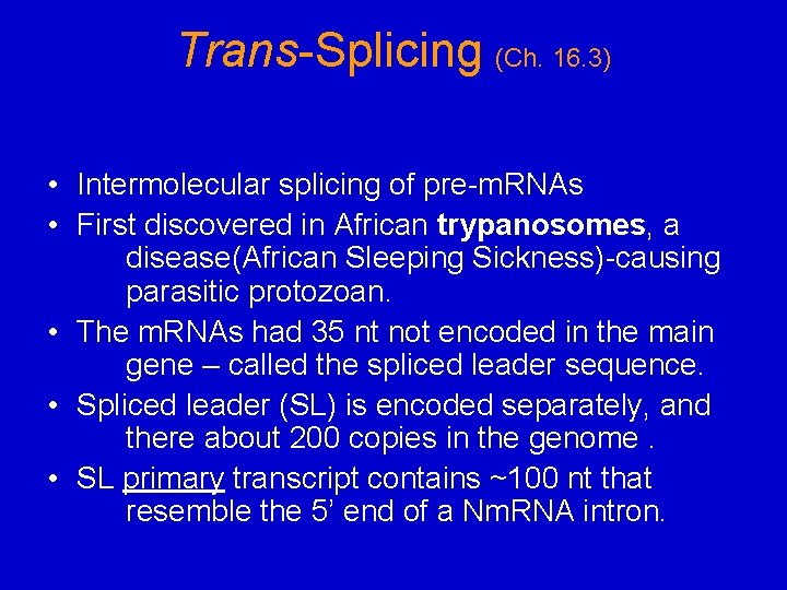 Trans-Splicing (Ch. 16. 3) • Intermolecular splicing of pre-m. RNAs • First discovered in